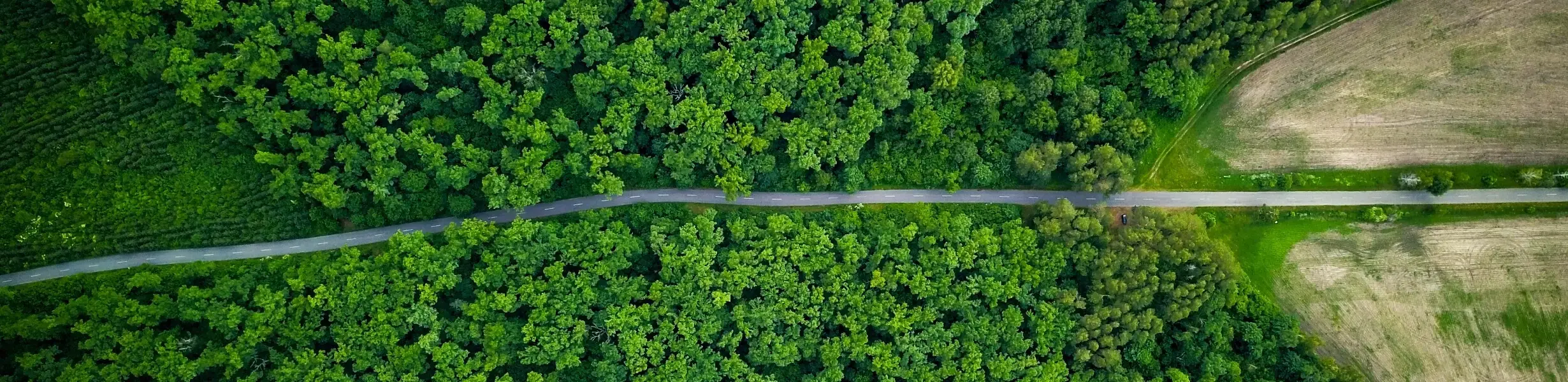 システム安全セキュリティリスク分析サービス